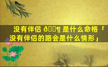 没有伴侣 🐶 是什么命格「没有伴侣的路会是什么情形」